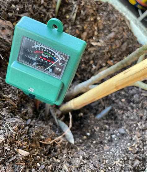 what should a soil moisture meter read for container tomatoes|tomato moisture meter readings.